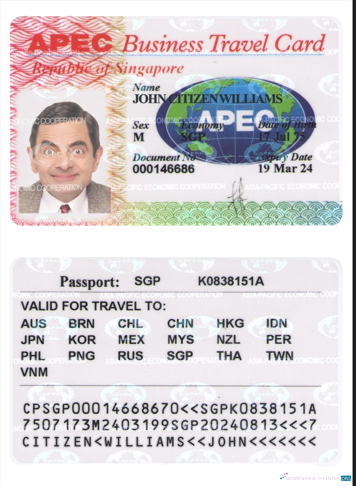 Download SINGAPORE business travel card Photoshop template